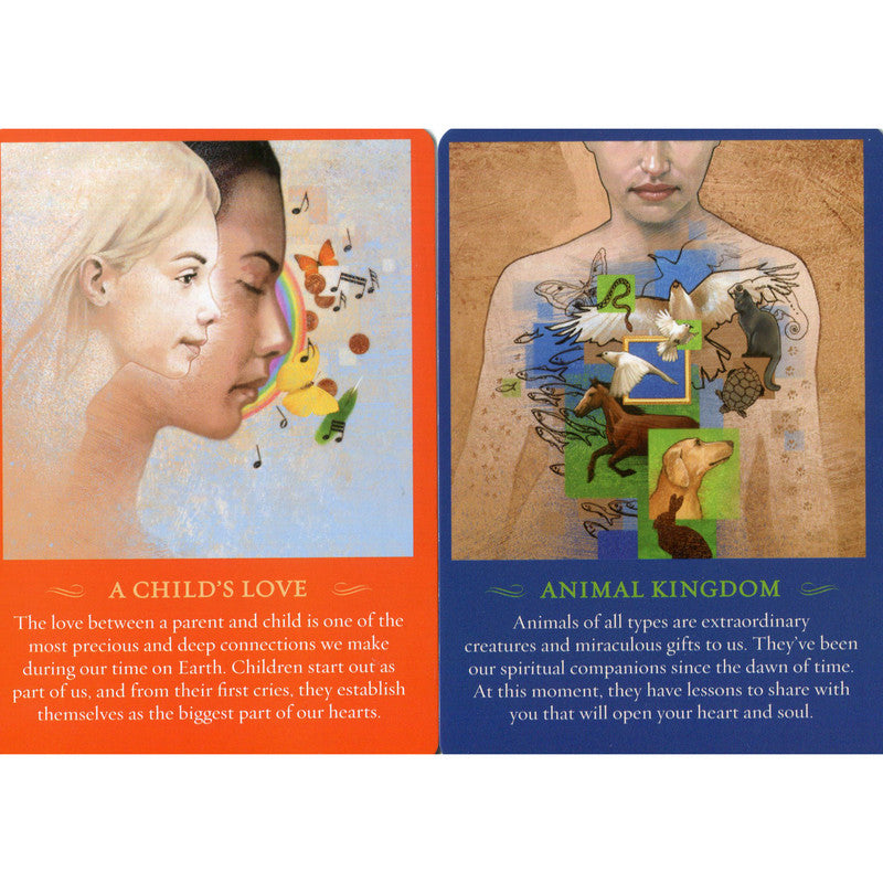 The Spirit Messages Daily Guidance Oracle Deck - John Holland